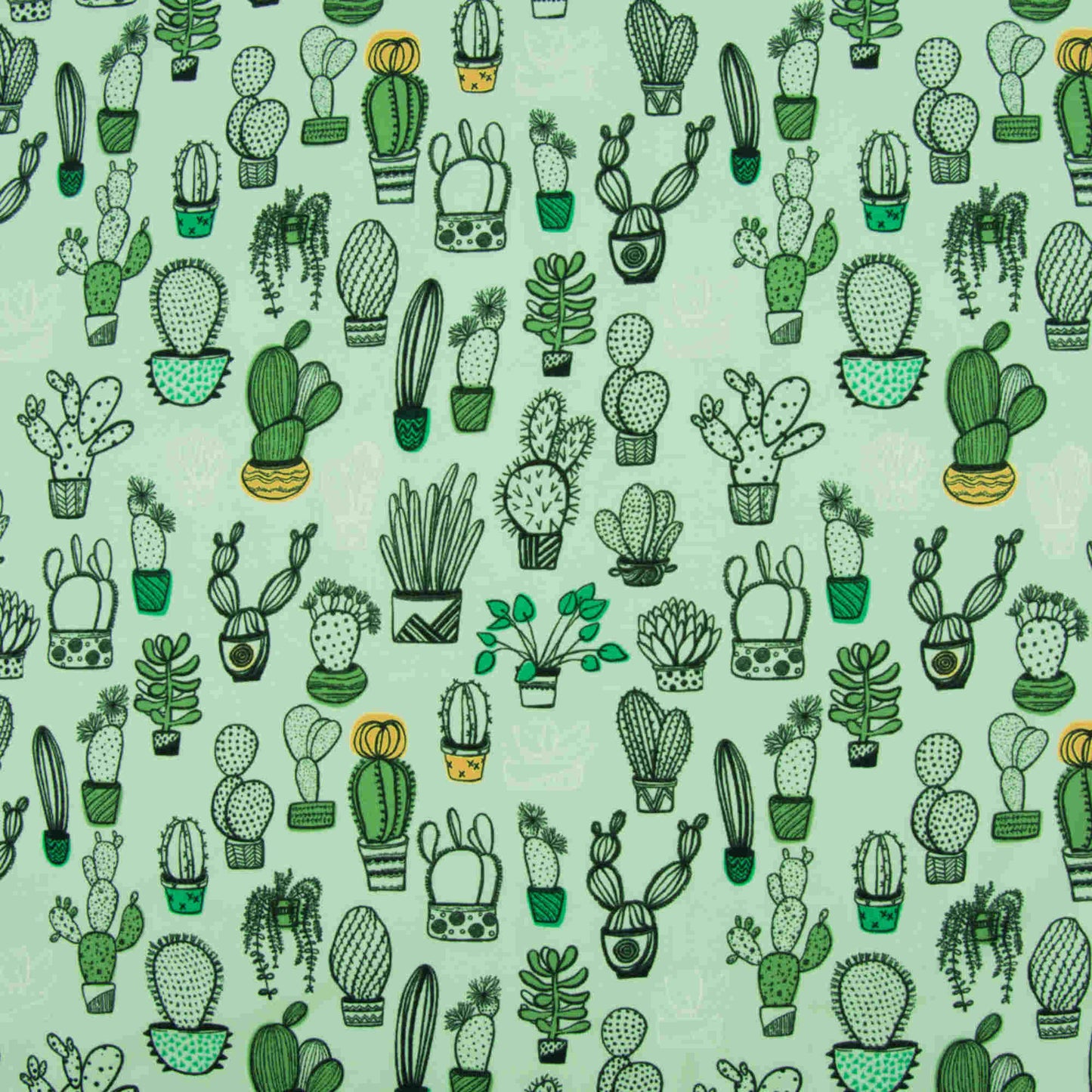 Jersey Kaktus grün