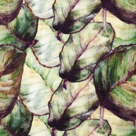 Musselin Blätter
